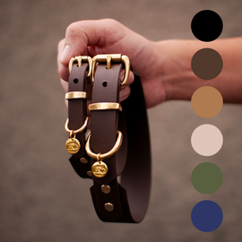 Whippet BioThane® hundhalsband