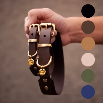 Whippet BioThane® hundhalsband