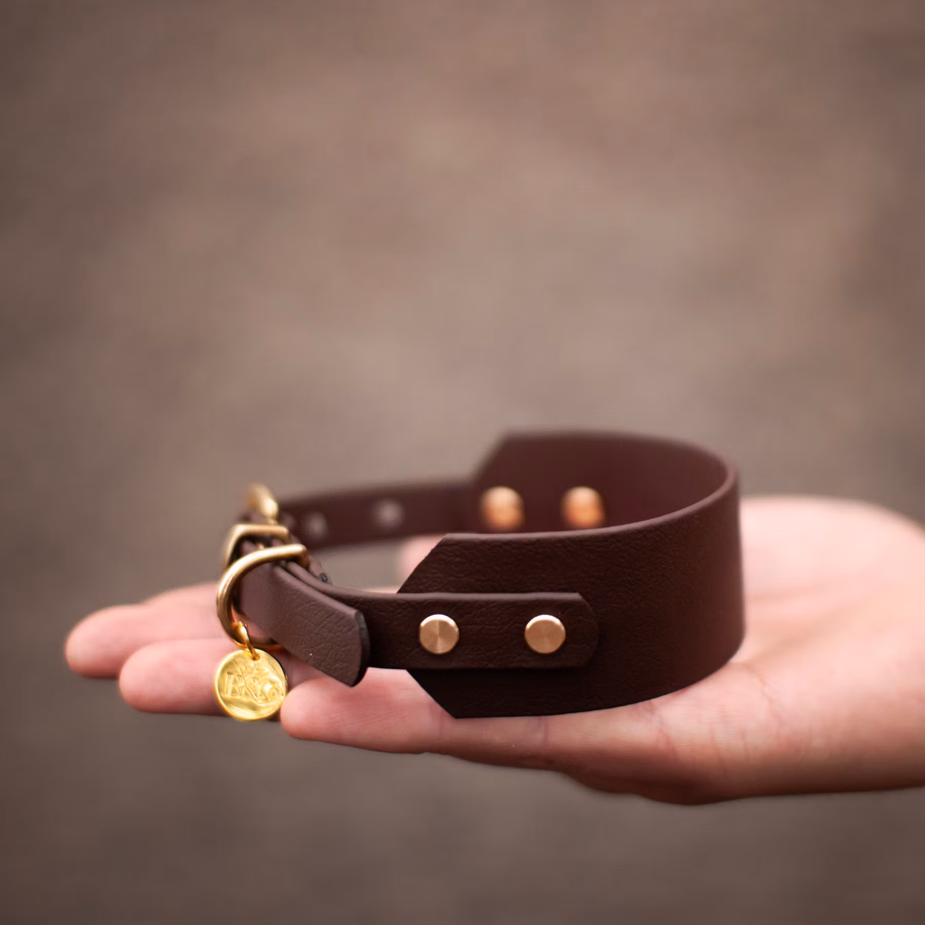 Whippet BioThane® hundhalsband