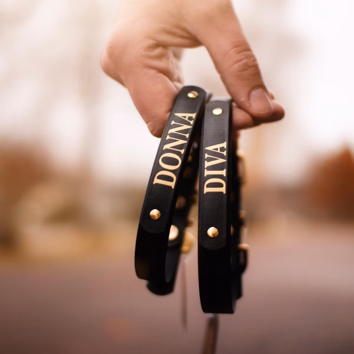 Ställbart BioThane® hundhalsband