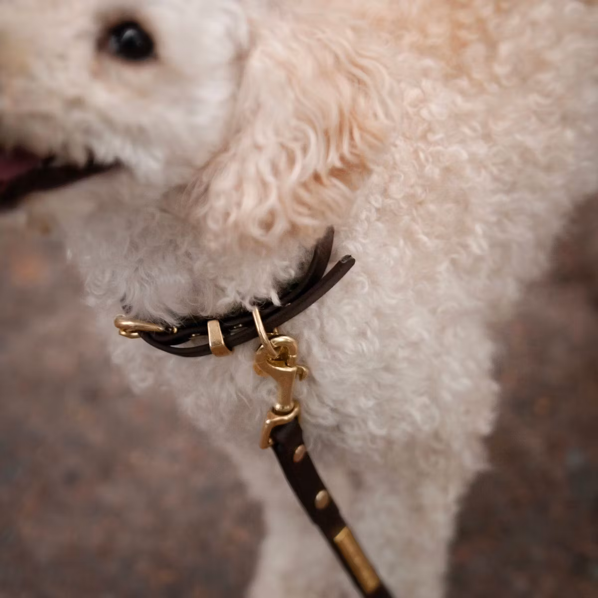 Ställbart BioThane® hundhalsband