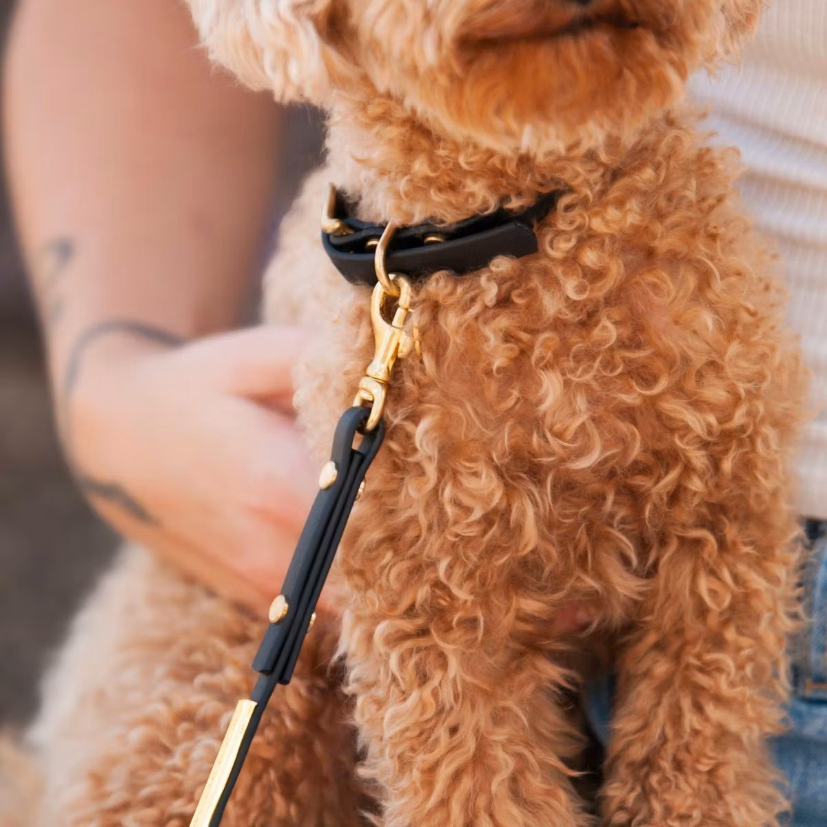 Ställbart BioThane® hundhalsband