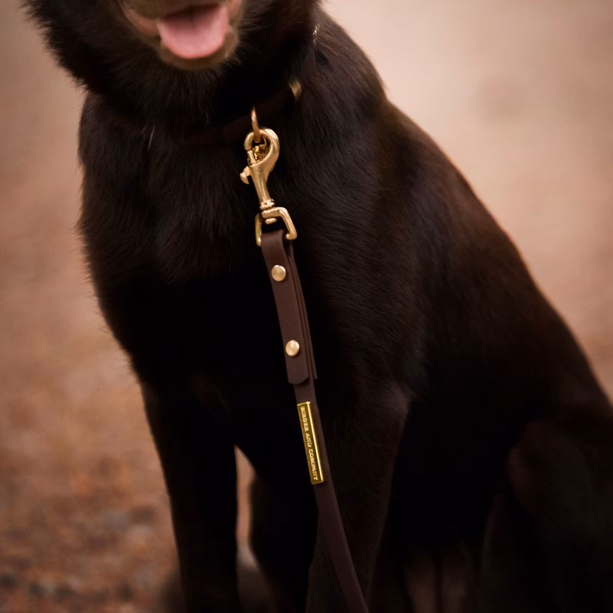 Enfärgat 
BioThane® hundkoppel