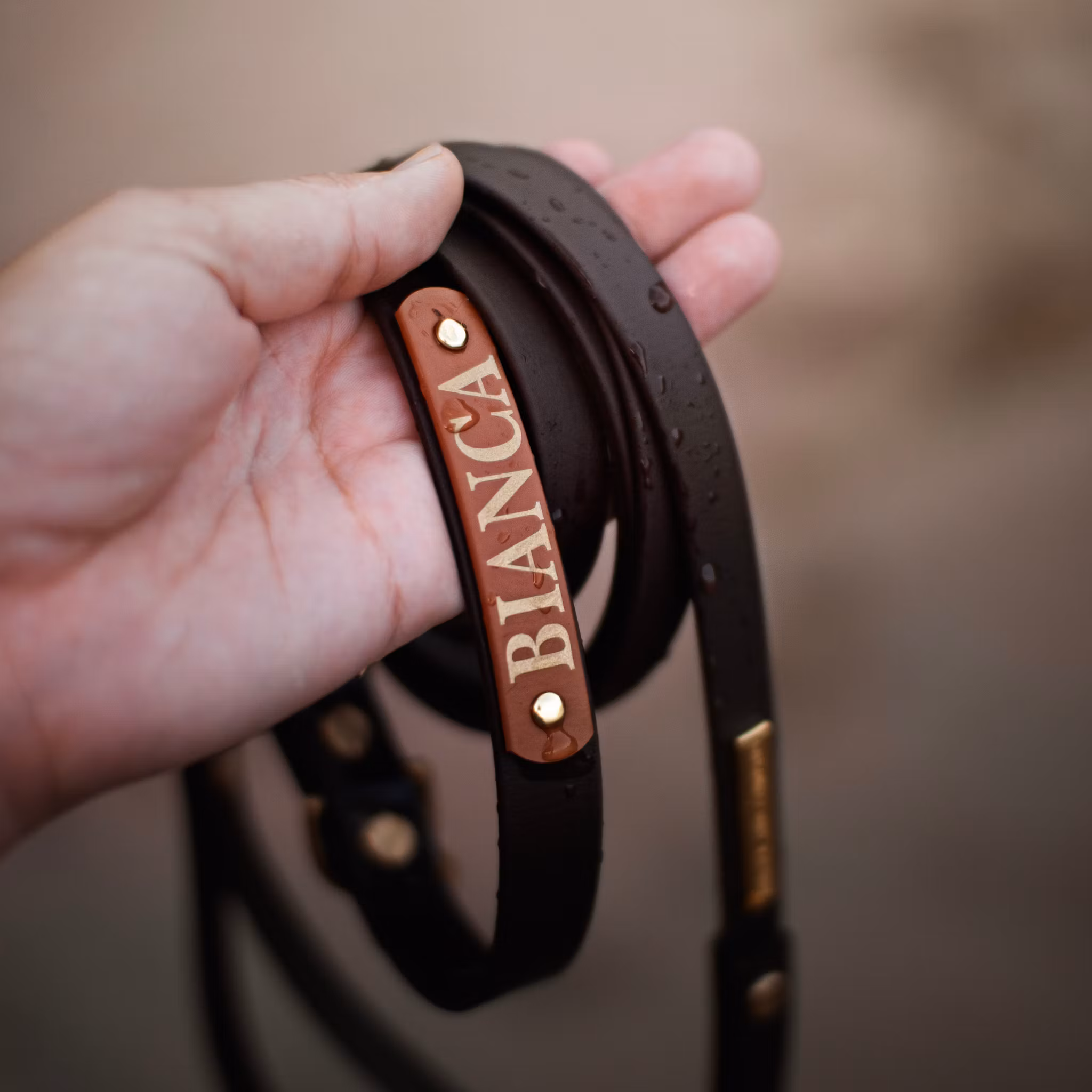 Ställbart BioThane® hundhalsband