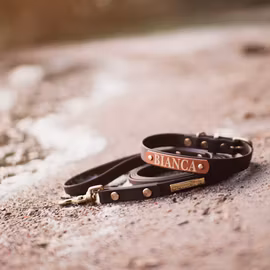 Ställbart BioThane® hundhalsband