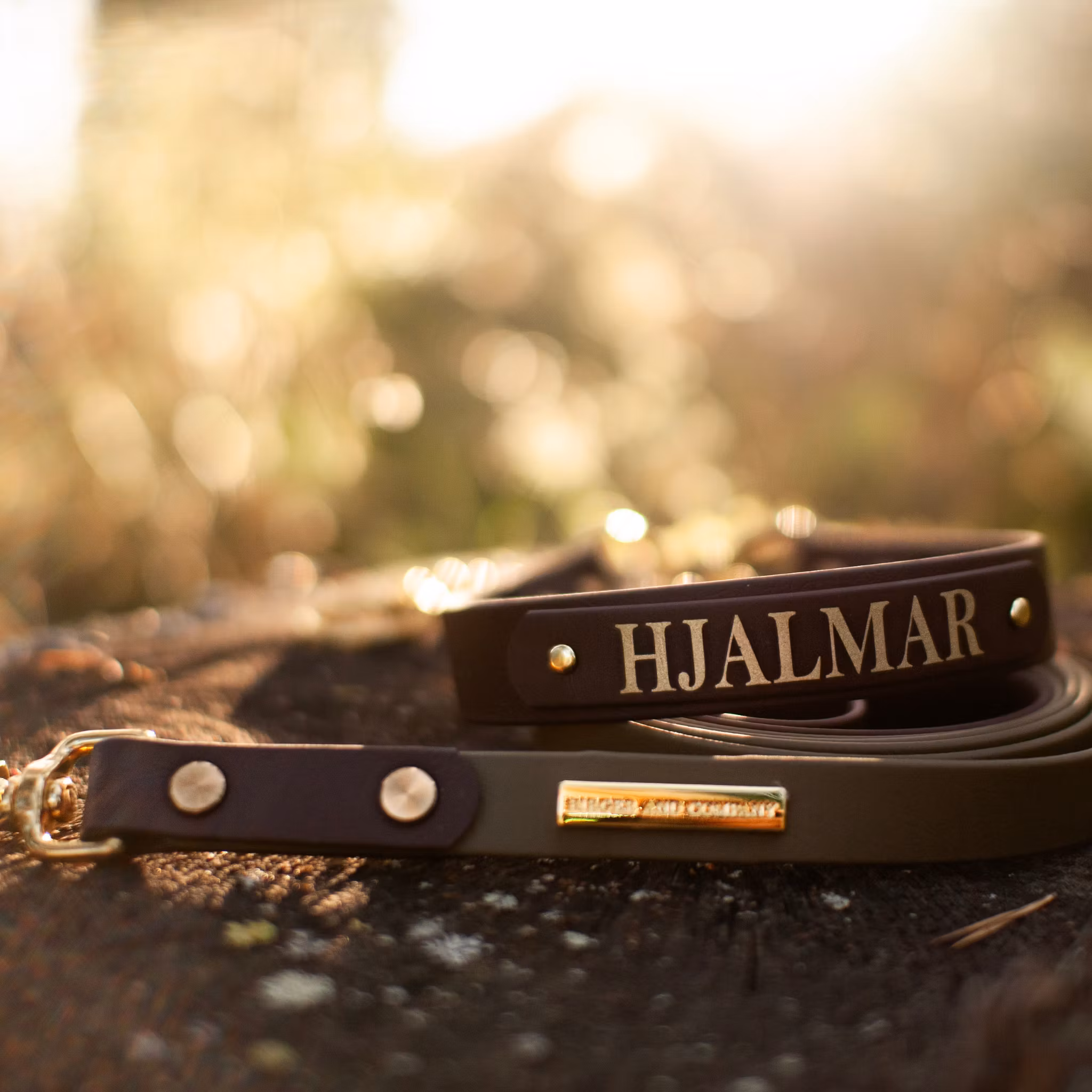 Ställbart BioThane® hundhalsband