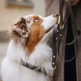 BioThane® hundkoppel med väktarhandtag