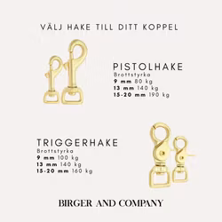Enfärgat   BioThane® hundkoppel