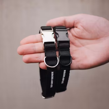 Ställbart Nylonhalsband