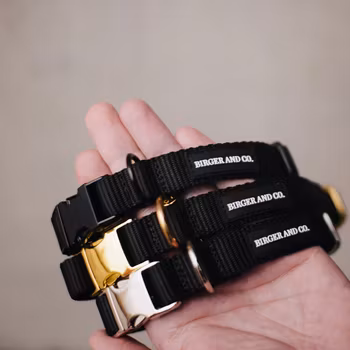 Ställbart Nylonhalsband
