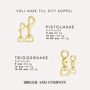 Tvåfärgat   BioThane® hundkoppel
