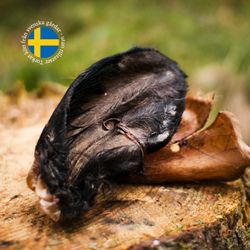 Torkade Oxöron med päls 2stk