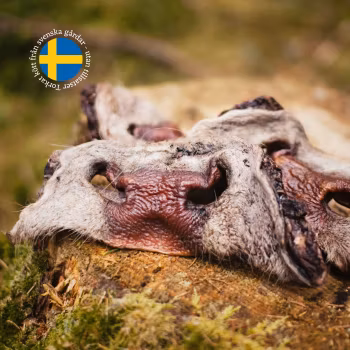 Torkad Oxmule med päls