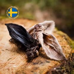 Torkade lammöron med päls