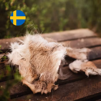 Hjortskinn med päls