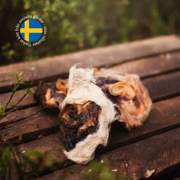 Torkad Oxöronsnäcka med päls