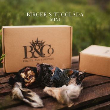 Birger´s Tugglåda - Minilådan, för den lilla hunden!