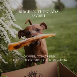 Birger´s Tugglåda - Favorit, tugglådan för alla hundar!