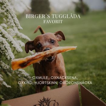 Birger´s Tugglåda - Favorit, tugglådan för alla hundar!