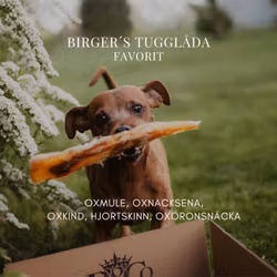 Birger´s Tugglåda - Favorit, tugglådan för alla hundar!