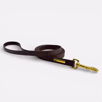 BioThane® grimskaft med pistolhake i mässing