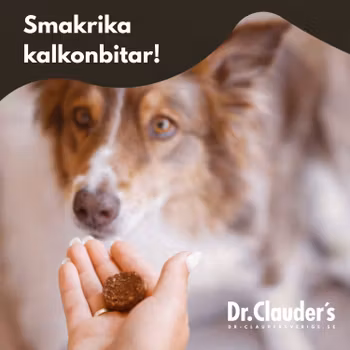 Hundgodis - Yoga Flex Coins