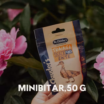 Hundgodis Minibitar 50 g