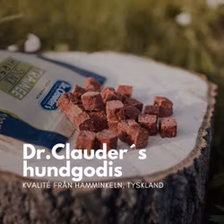 Hundgodis småbitar 80 g