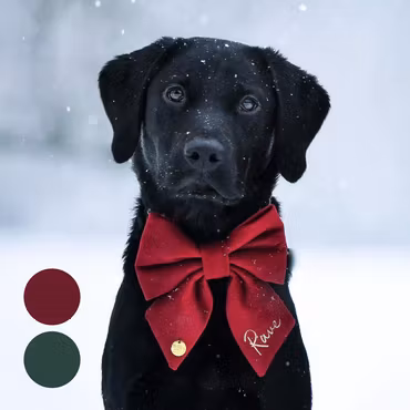 Hundfluga i sammet med namn*