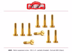 NSR - METRIC SUSPENSION SCREW M2.2 X 9 - (10x)
