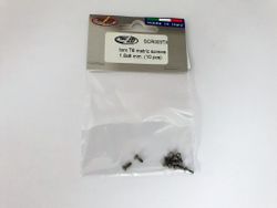 Thunderslot - Screw - Torx T6 - 1,8 x 6 mm (10x)