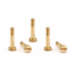 NSR - SUSPENSION SCREW M2.2 x 11 mm - (10x)