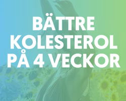 Bättre Kolesterol På 4 Veckor(i PDF-format)