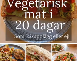 Vegetarisk mat i 20 dagar, som 5:2 eller ej! (fysiskt häfte och som PDF)