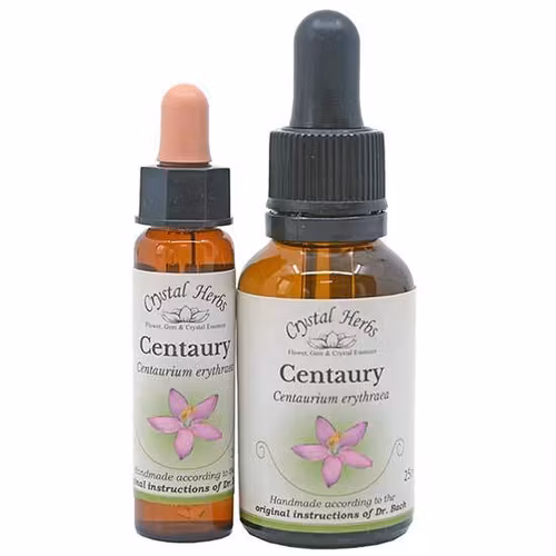 Centaury
