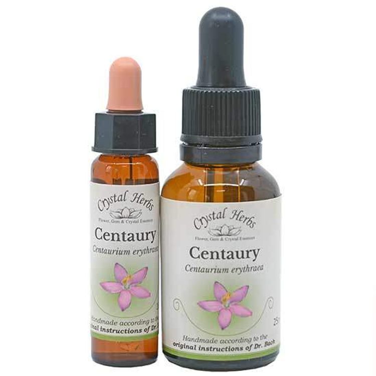 Centaury