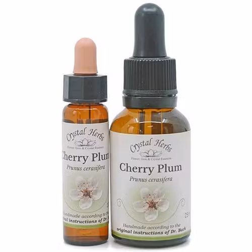 Cherry Plum