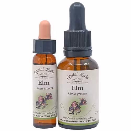 Elm