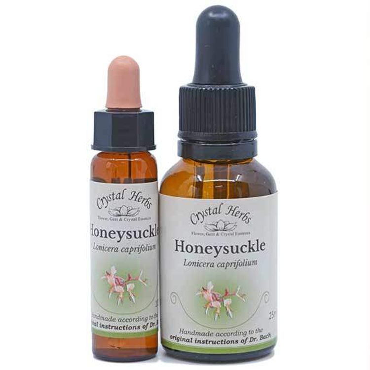 Honeysuckle