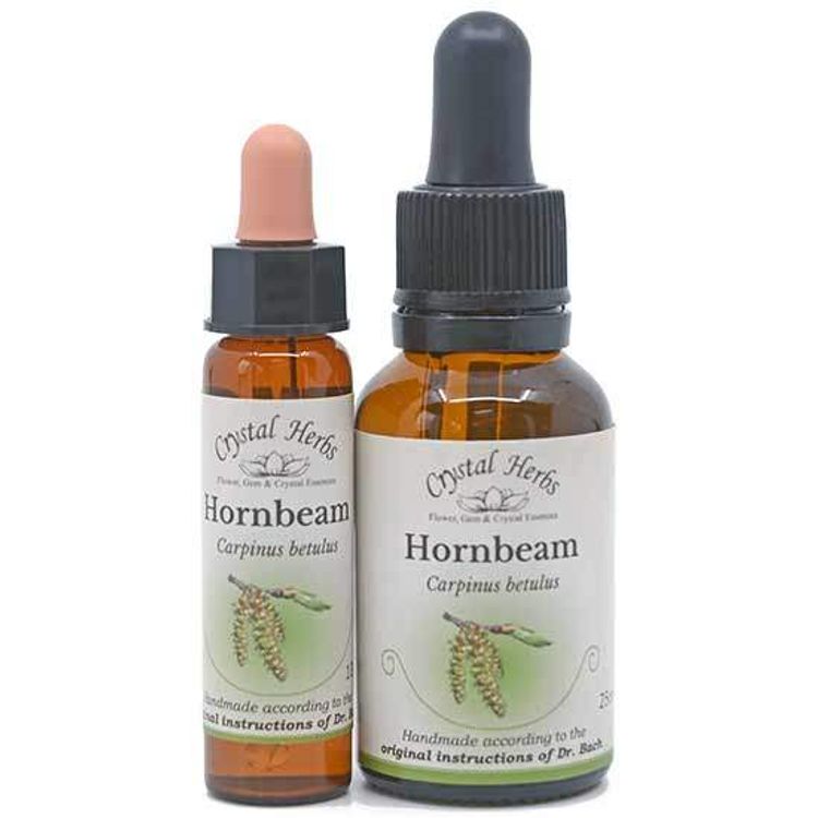 Hornbeam