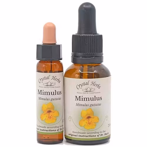 Mimulus