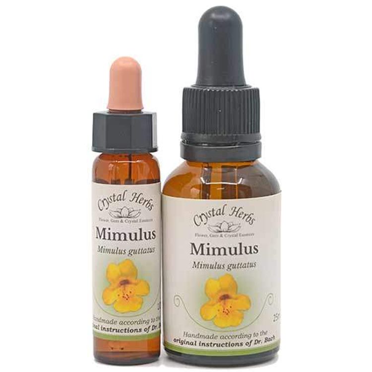 Mimulus