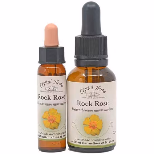 Rock Rose