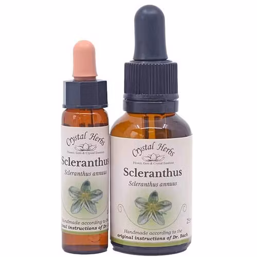 Scleranthus