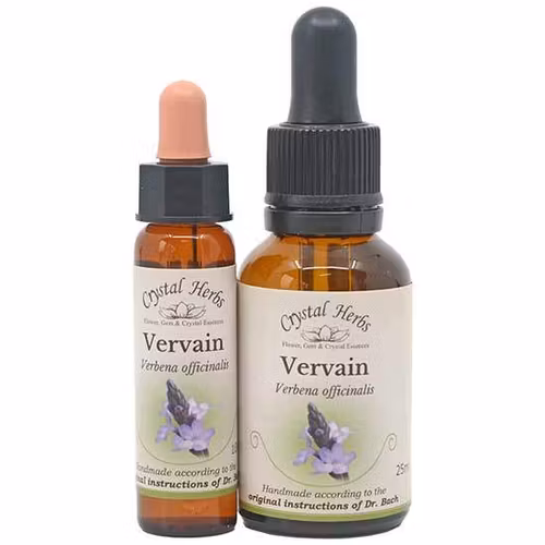 Vervain