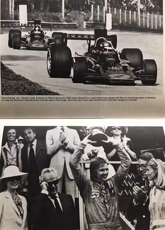 Ronnie Peterson GP Driver - Search for Perfection - Alan Henry - 166 sid - engelsk bok