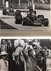 Ronnie Peterson GP Driver - Search for Perfection - Alan Henry - 166 sid - engelsk bok