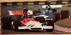 Niki Lauda, BRM '73 o Carlos Pace, Surtees, format 30x64 cm
