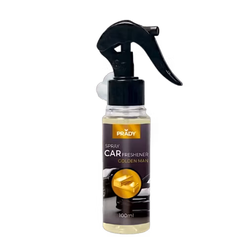 AUTO GEUR SPRAY