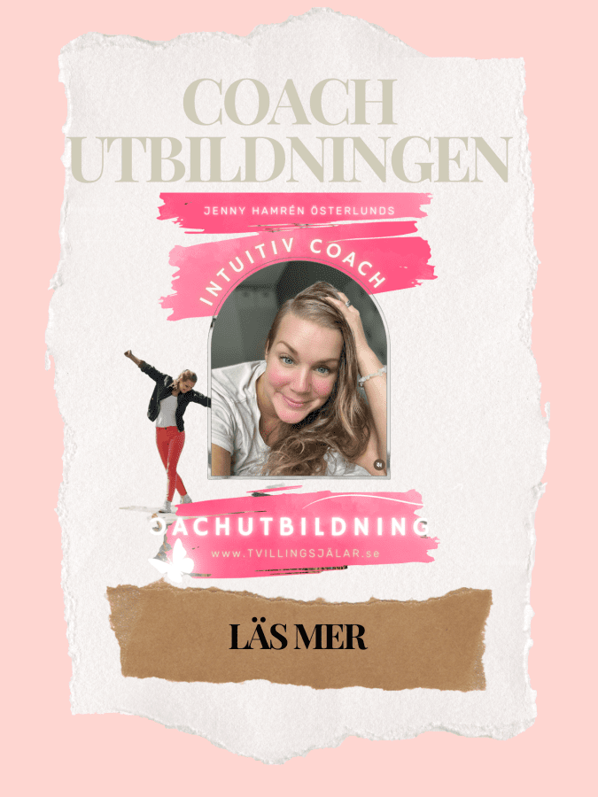 Tvillingsjälar